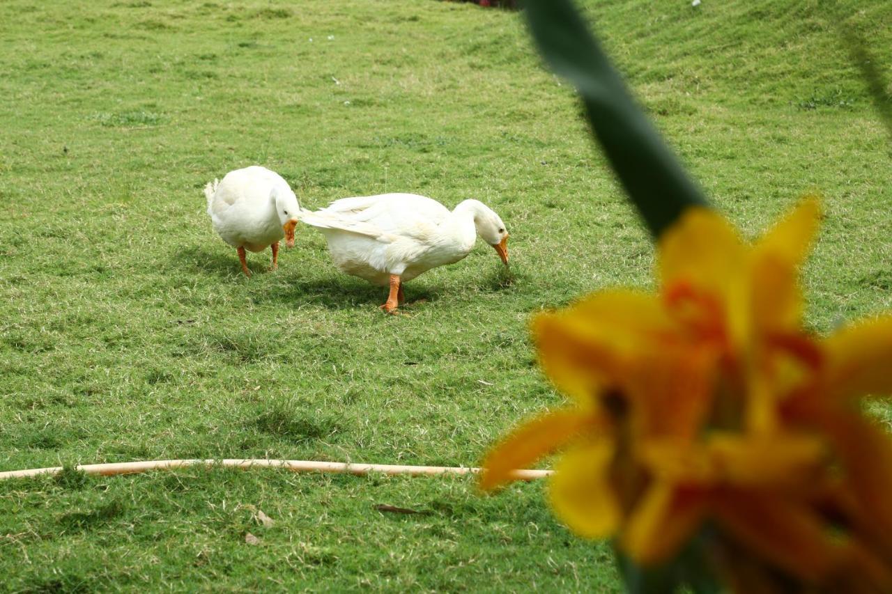 Nature Leap Resort Igatpuri Exterior photo